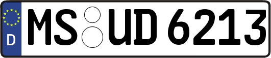 MS-UD6213