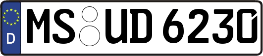 MS-UD6230