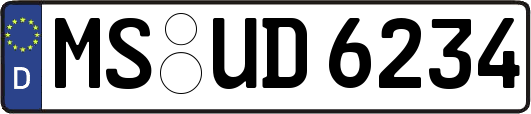 MS-UD6234