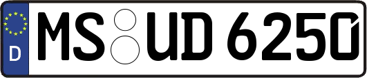 MS-UD6250