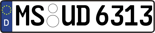 MS-UD6313