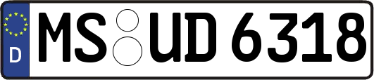 MS-UD6318