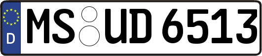 MS-UD6513