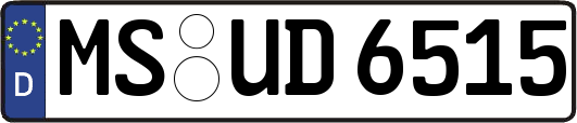 MS-UD6515