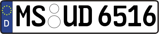 MS-UD6516