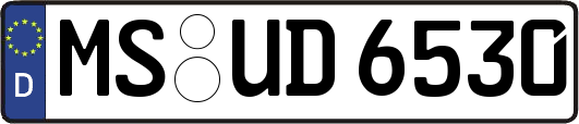 MS-UD6530
