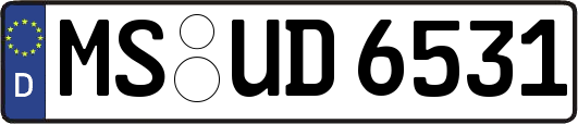 MS-UD6531