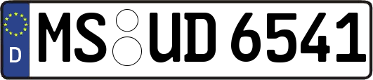 MS-UD6541