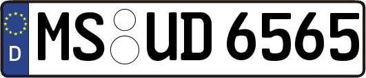 MS-UD6565