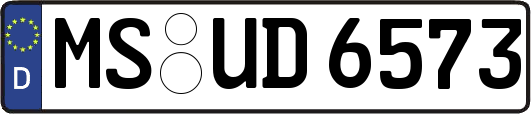 MS-UD6573