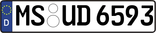 MS-UD6593