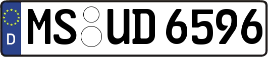 MS-UD6596
