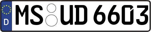MS-UD6603