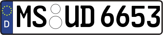 MS-UD6653