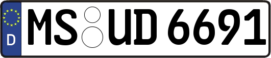 MS-UD6691