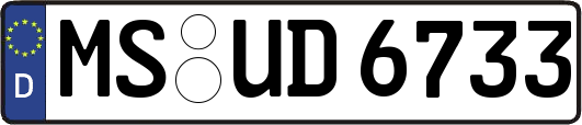 MS-UD6733