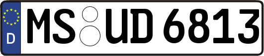 MS-UD6813