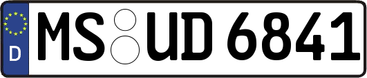 MS-UD6841