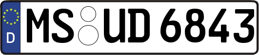 MS-UD6843