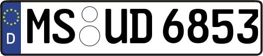 MS-UD6853