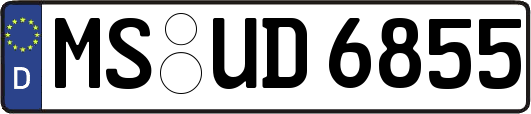 MS-UD6855