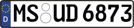MS-UD6873