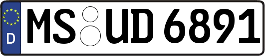 MS-UD6891