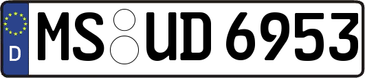 MS-UD6953