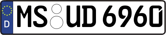 MS-UD6960