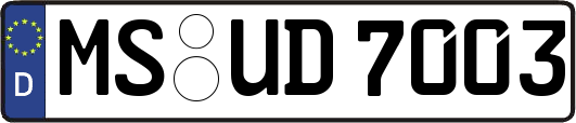 MS-UD7003
