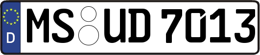MS-UD7013