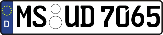 MS-UD7065