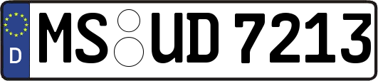 MS-UD7213