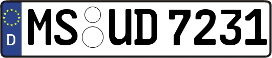 MS-UD7231