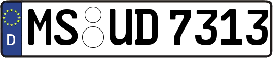 MS-UD7313