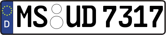 MS-UD7317
