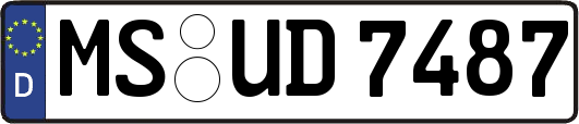 MS-UD7487