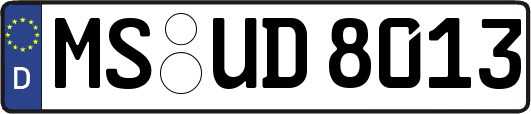 MS-UD8013