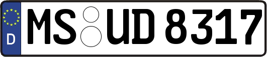 MS-UD8317