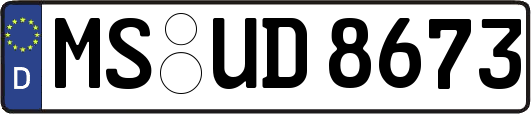 MS-UD8673