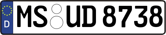 MS-UD8738