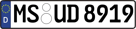 MS-UD8919