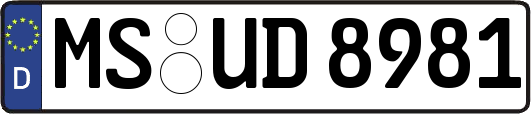 MS-UD8981