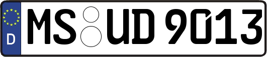MS-UD9013