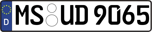 MS-UD9065