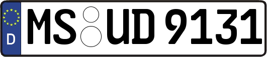 MS-UD9131