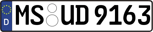 MS-UD9163