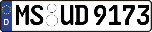 MS-UD9173
