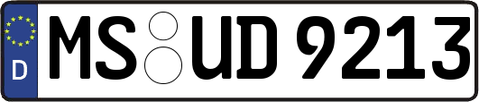 MS-UD9213