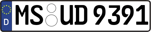 MS-UD9391